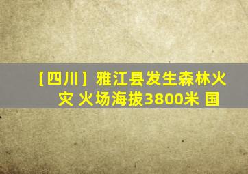 【四川】雅江县发生森林火灾 火场海拔3800米 国